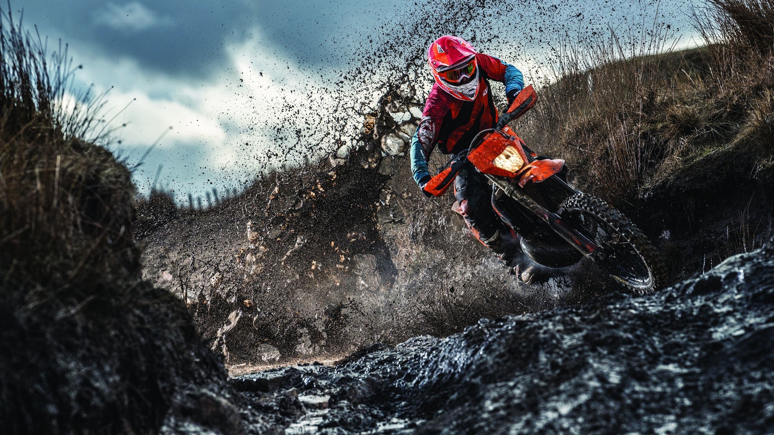 体育赛事直播-绿茵场上的降维打击，当多特蒙德战术遇见秘鲁韧性，范戴克如何成为永恒的破局者？