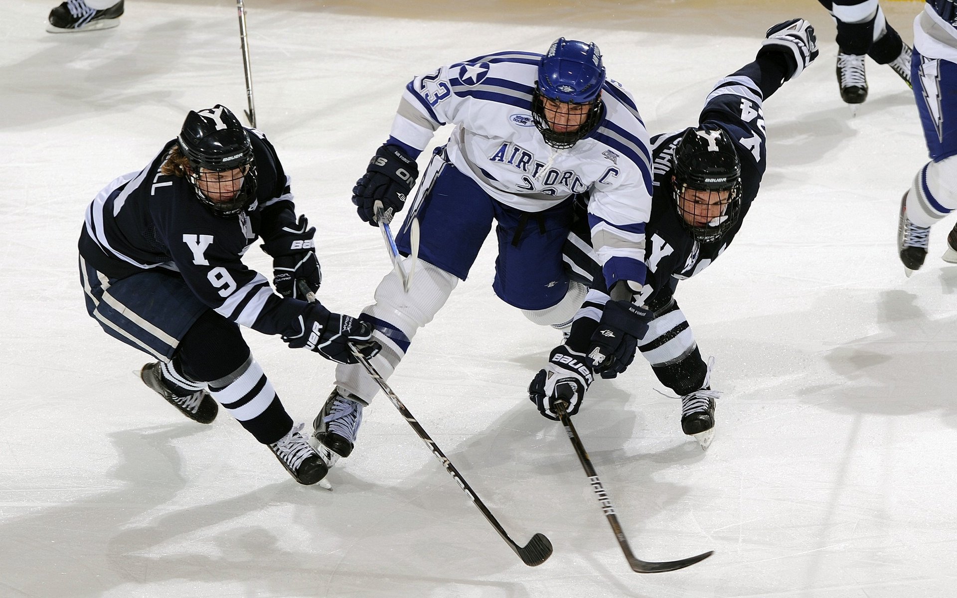 鹈鹕展翅封锁芝加哥,福克斯加冕硬仗之王